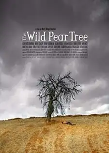 The Wild Pear Tree (2018)